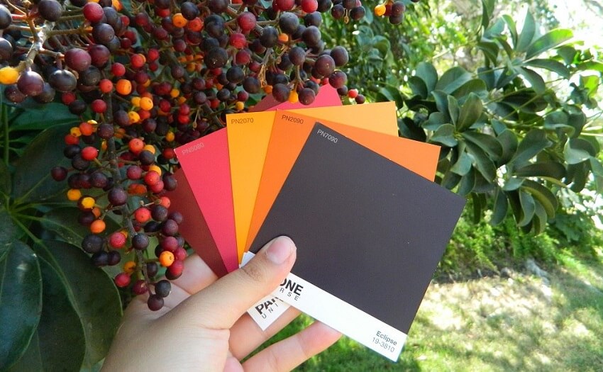 pantone-210-new-colors-news-3.jpg pantone-210-new-colors-news-3.jpg
