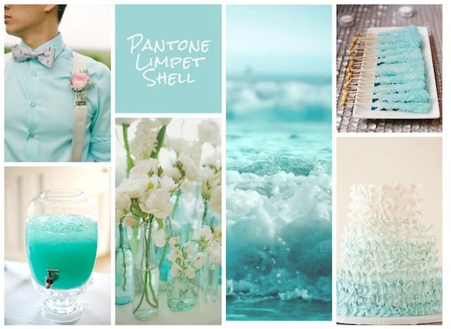 pantone-limpet-shell.jpg pantone-limpet-shell.jpg