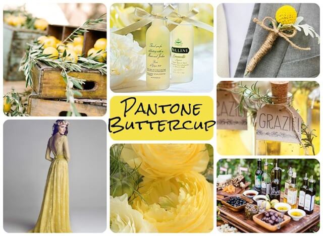 pantone-buttercup.jpg pantone-buttercup.jpg
