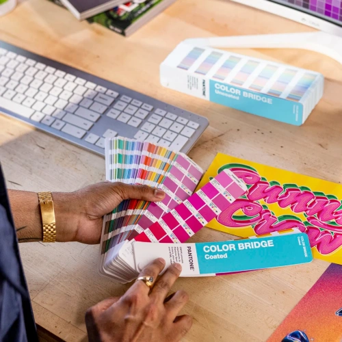 Комплект цветовых справочников Pantone Color Bridge Guide Set (Новые цвета 2026 года)